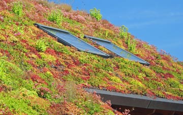 Petworth living roof systems